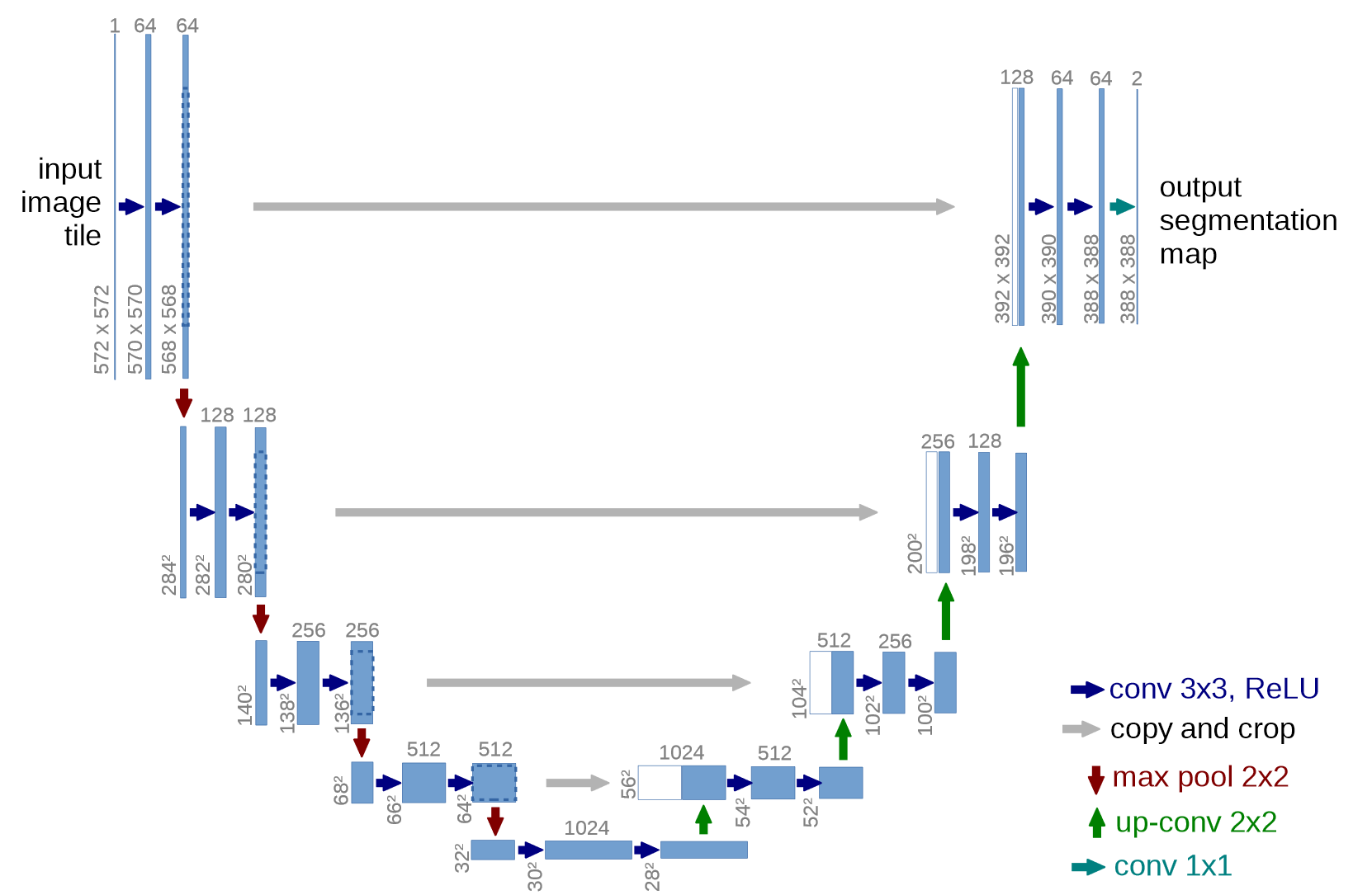The U-Net architecture