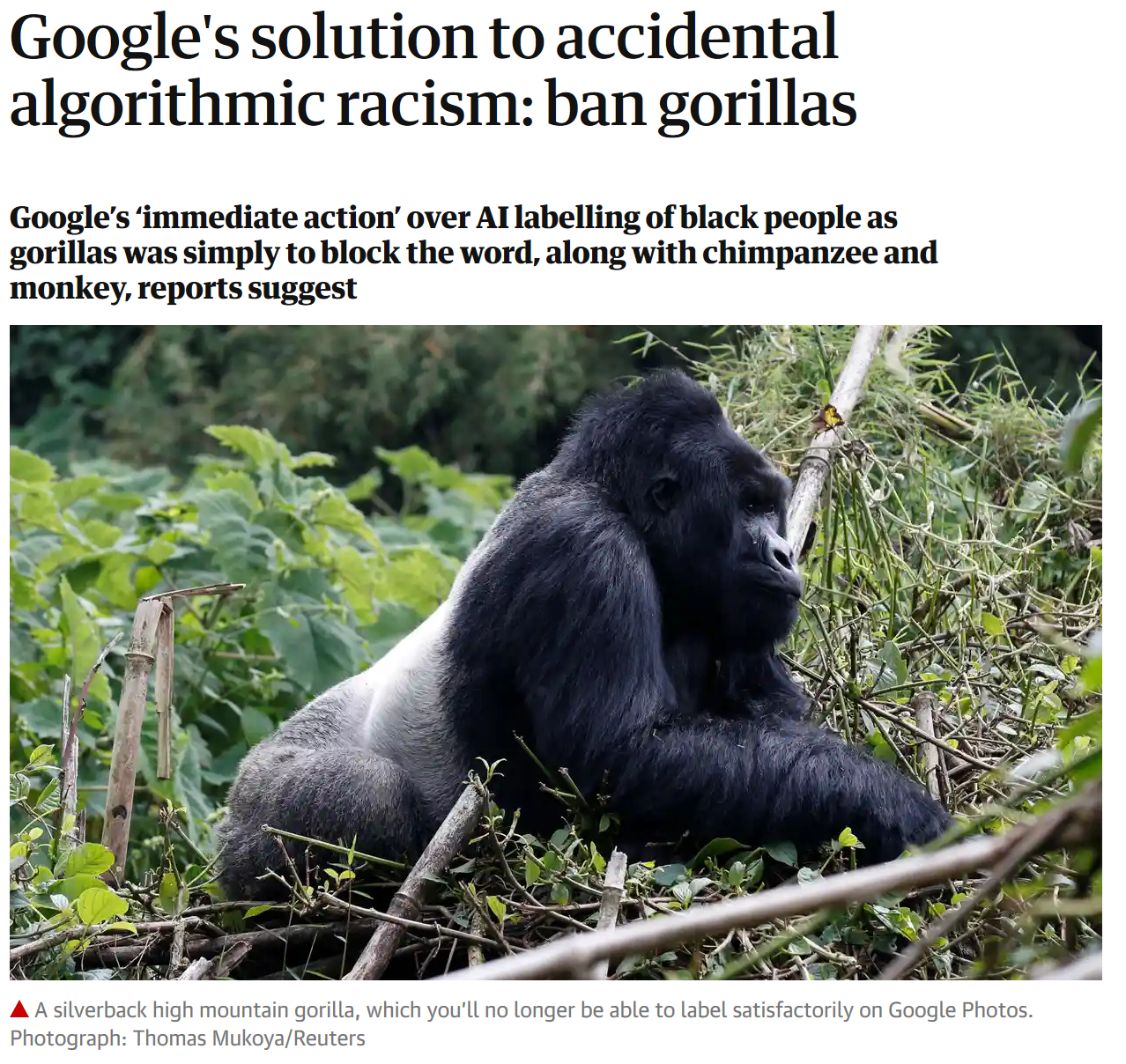 Pictures of a headlines from the Guardian, whoing Google removed gorillas and other moneys from the possible labels of its algorithm